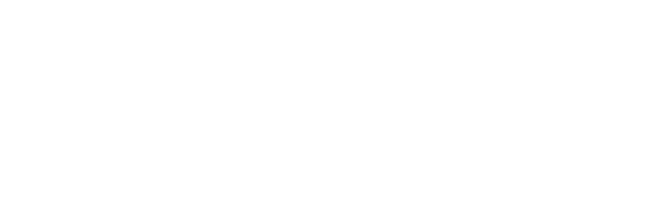 Our Partners